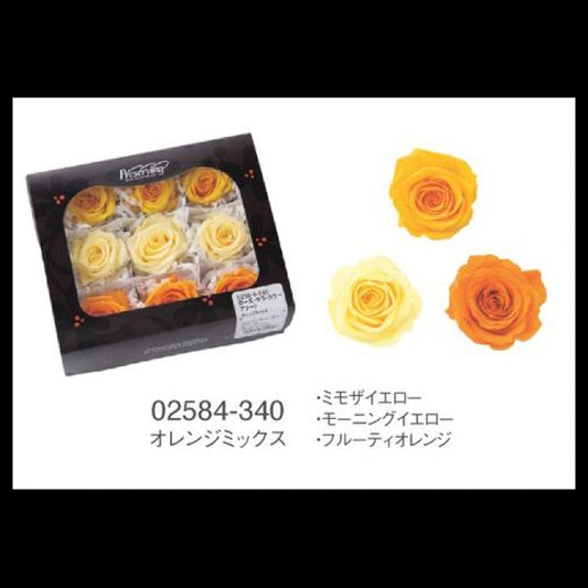 EarthMatters 0258-4-340玫瑰永生花花材