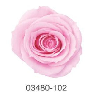 EarthMatters 0348-0-102玫瑰永生花花材