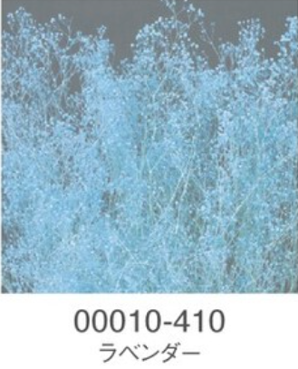 EarthMatters 00010-410迷你滿天星永生花花材