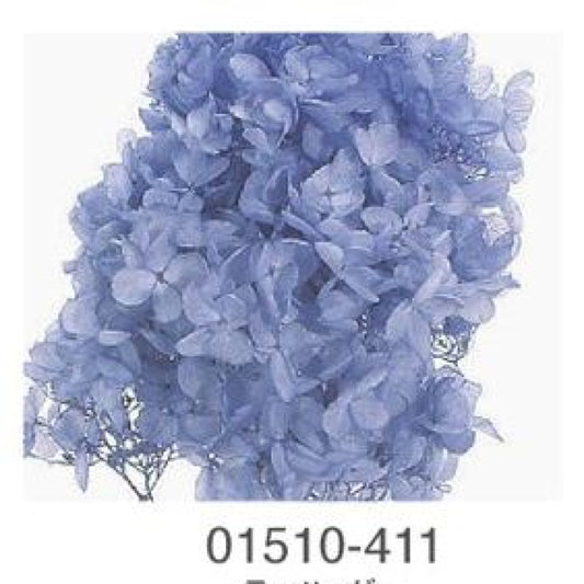 EarthMatters 0151-0-411繡球花永生花花材
