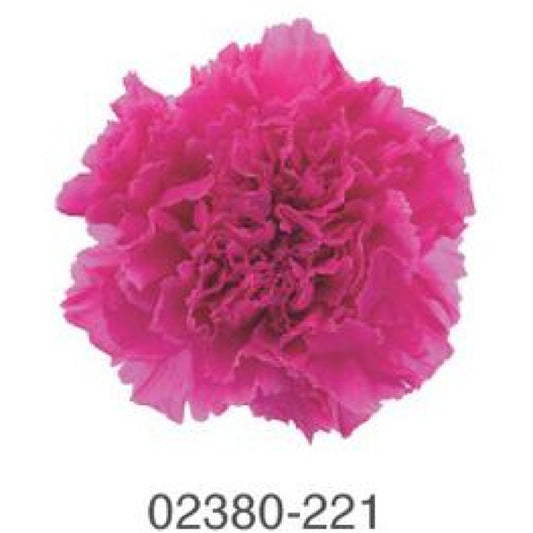 EarthMatters 0238-0-221康乃馨永生花花材