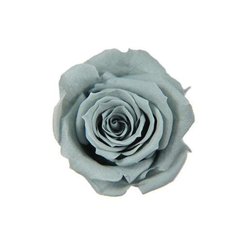 Florever FL070-42玫瑰永生花花材