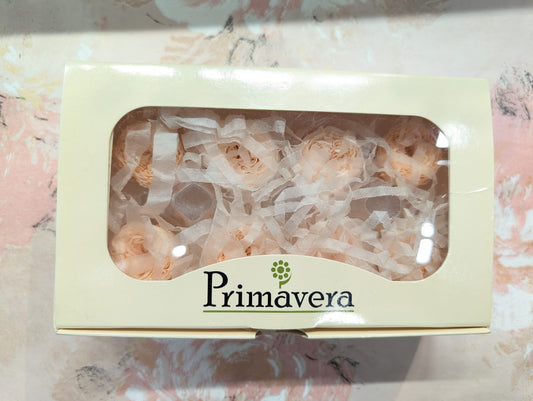 Primavera 88401庭園玫瑰永生花花材