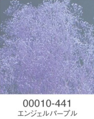 EarthMatters 00010-441迷你滿天星永生花花材