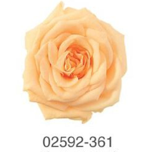 EarthMatters 0259-2-361玫瑰永生花花材