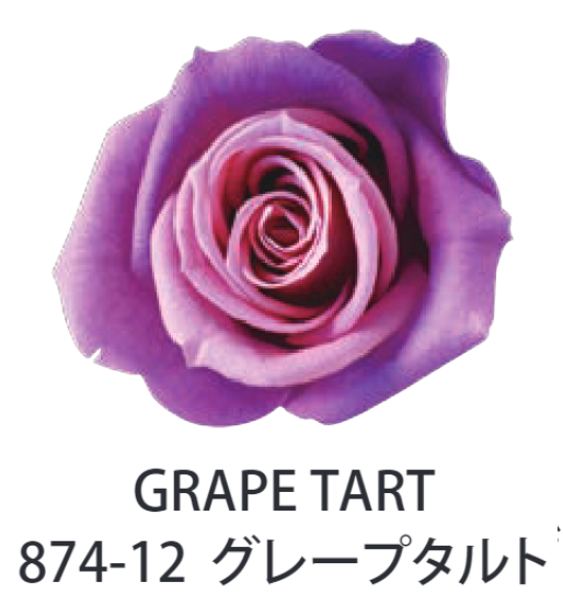 Primavera 87412玫瑰永生花花材