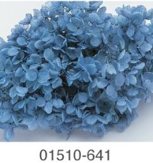 EarthMatters 0151-0-641繡球花永生花花材