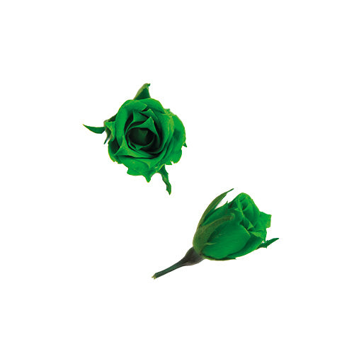 Florever FL060-88小玫瑰永生花花材