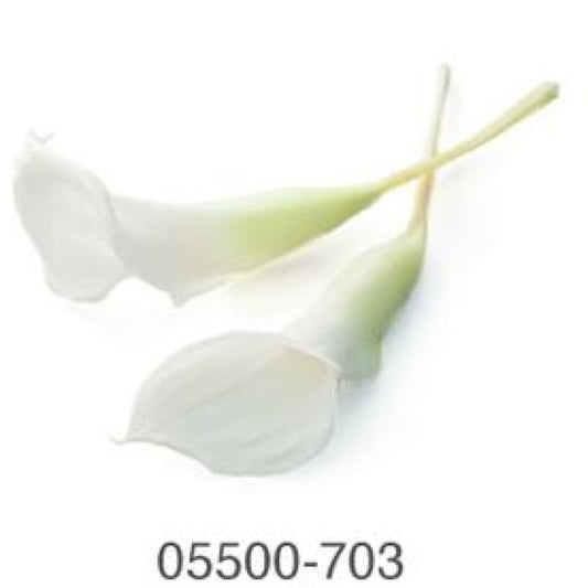 EarthMatters 0550-0-703馬蹄蘭永生花花材