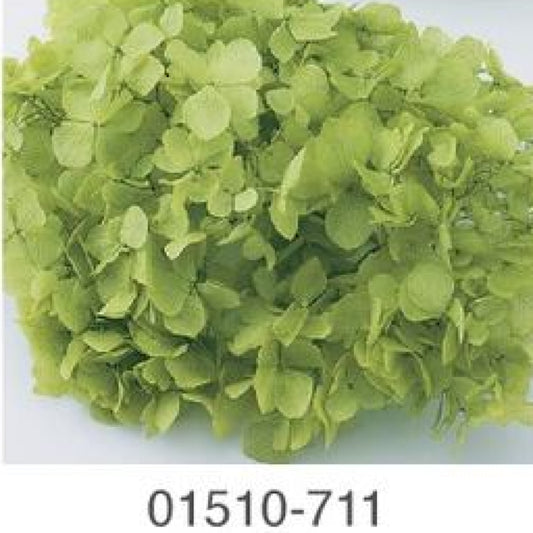 EarthMatters 0151-0-711繡球花永生花花材