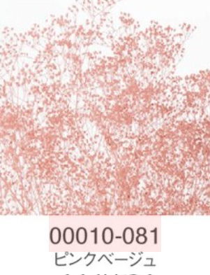 EarthMatters 00010-081迷你滿天星永生花花材