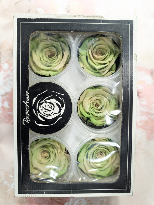 RoseAmor LBIC-26玫瑰永生花花材