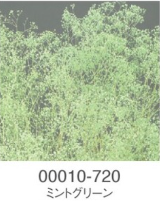 EarthMatters 00010-720迷你滿天星永生花花材