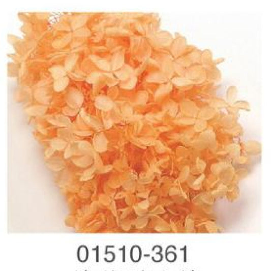 EarthMatters 0151-0-361繡球花永生花花材