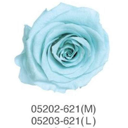 EarthMatters 0520-3-621庭園玫瑰永生花花材