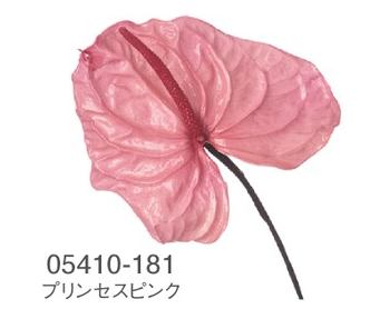 EarthMatters 05410-181粉掌永生花材