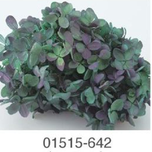 EarthMatters 0151-5-642繡球花永生花花材