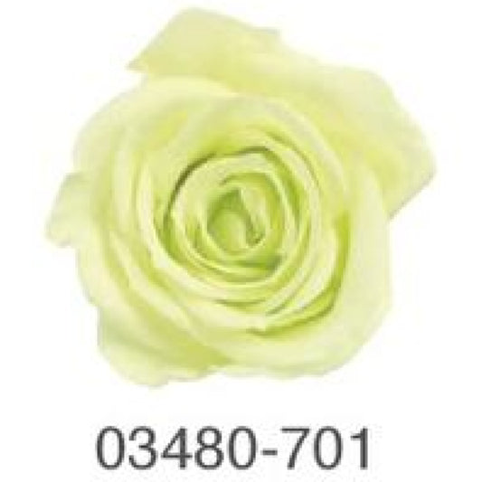 EarthMatters 0348-0-701玫瑰永生花花材