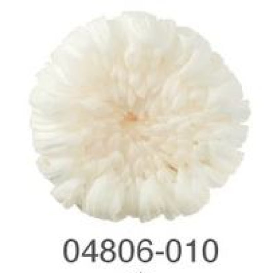 EarthMatters 0480-6-010菊花永生花花材