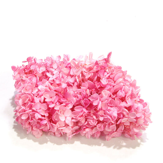 EarthMatters 0151-5-151繡球花永生花花材