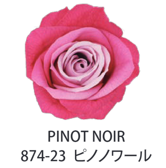 Primavera 87423玫瑰永生花花材