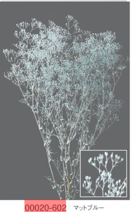 EarthMatters 00020-602迷你滿天星永生花花材