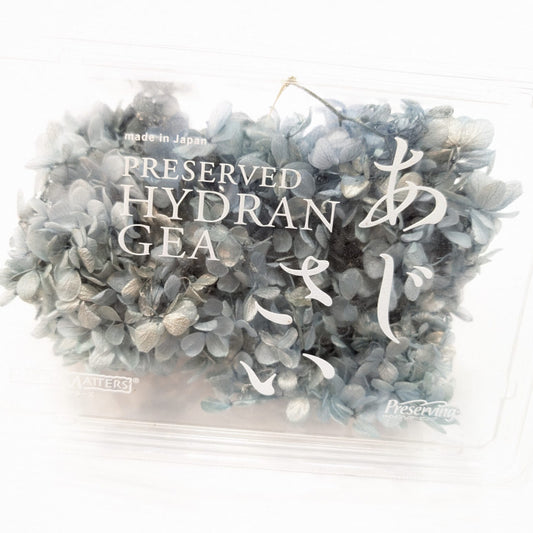 EarthMatters 0151-0-642繡球花永生花花材