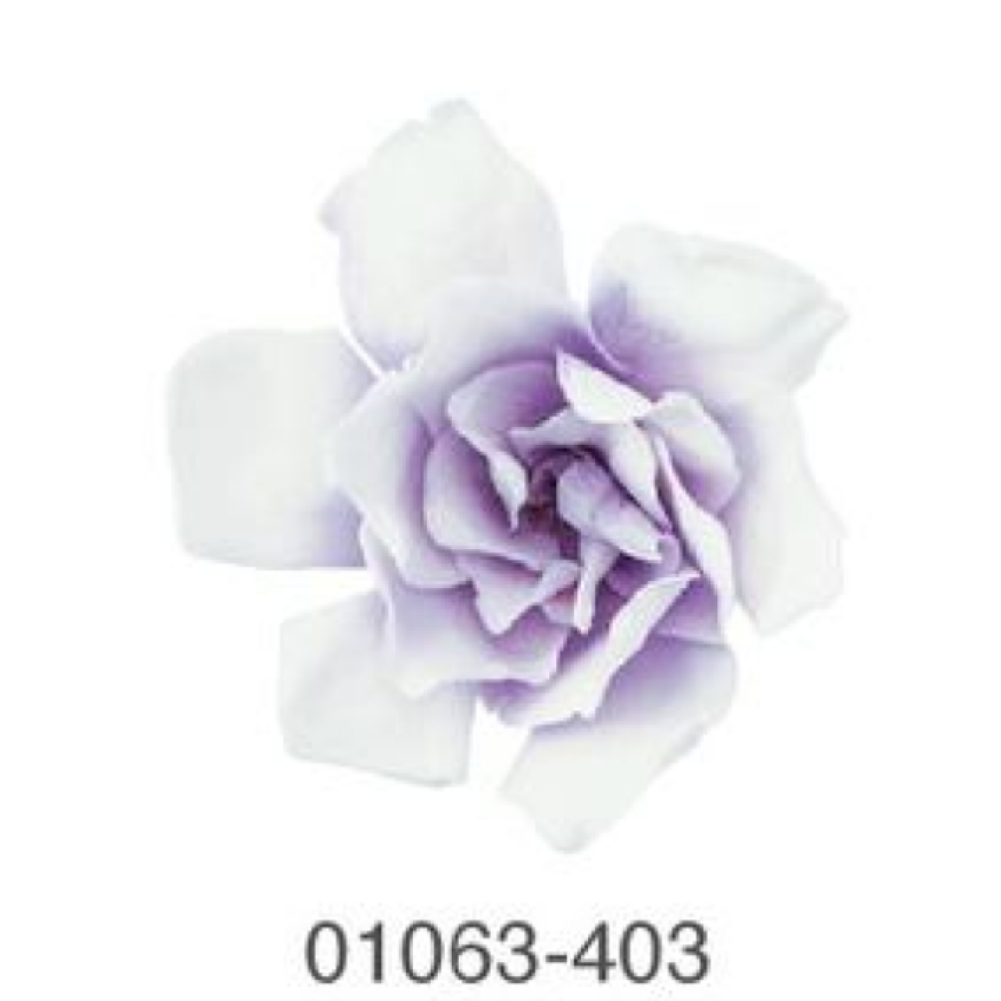 EarthMatters 0106-3-403柑橘花永生花花材