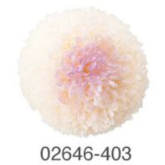 EarthMatters 0264-6-403乒乓菊永生花花材