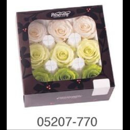 EarthMatters 0520-7-770玫瑰永生花花材