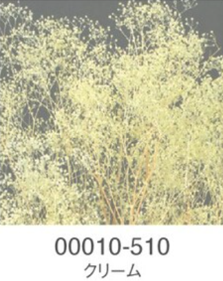 EarthMatters 00010-510迷你滿天星永生花花材