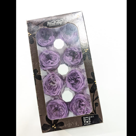 EarthMatters 0246-0-411庭園玫瑰永生花花材