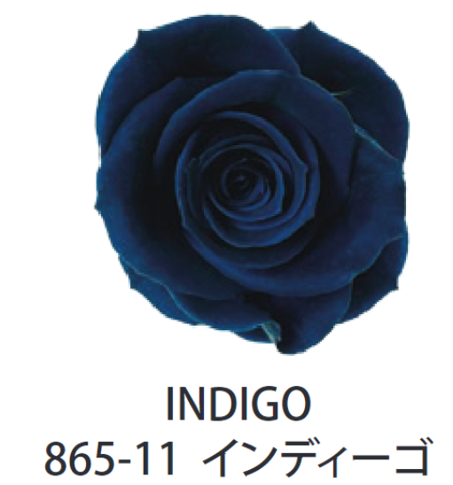 Primavera 86511玫瑰永生花花材