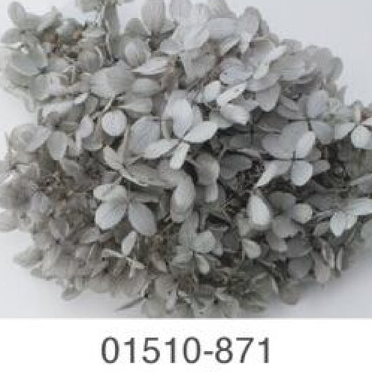 EarthMatters 0151-0-871繡球花永生花花材