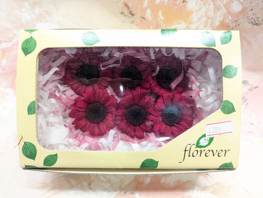 Florever FL481-37迷你非洲菊永生花花材