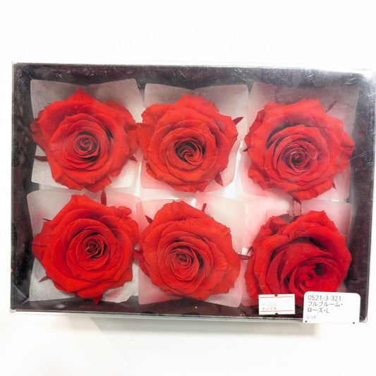 EarthMatters 0521-3-321玫瑰永生花花材