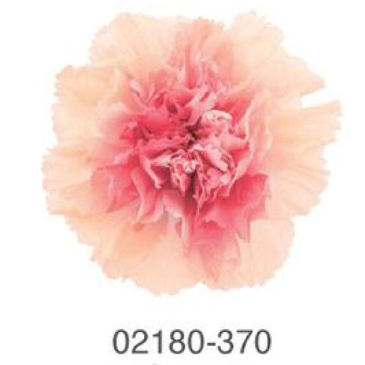 EarthMatters 0218-0-370康乃馨花永生花花材