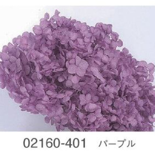 EarthMatters 0216-0-401繡球花永生花花材