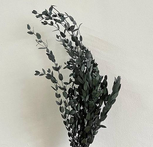 EarthMatters 01790-782小尖葉尤嘉利永生葉材