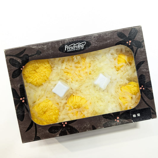 EarthMatters 0480-0-500菊花永生花花材