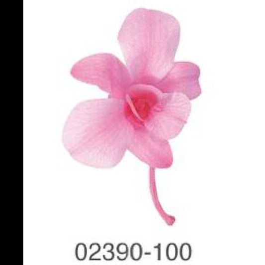 EarthMatters 0239-0-100石斛蘭永生花花材