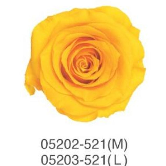 EarthMatters 0520-2-521玫瑰永生花花材