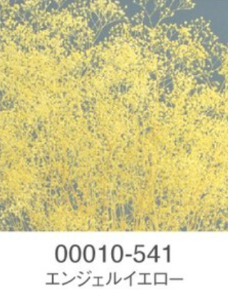 EarthMatters 00010-541迷你滿天星永生花花材