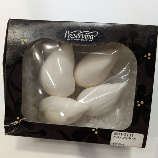 EarthMatters 0511-3-011荷花永生花花材