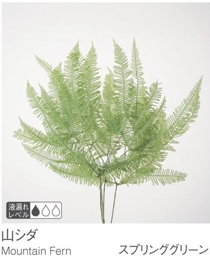 EarthMatters 50296-781山蕨永生葉材