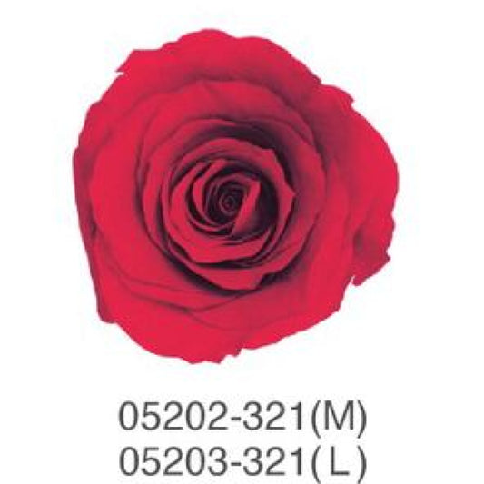 EarthMatters 0520-2-321玫瑰永生花花材