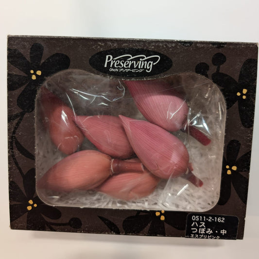 EarthMatters 0511-3-162荷花永生花花材