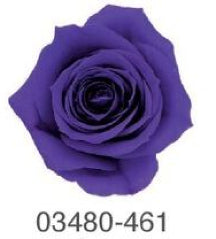 EarthMatters 0348-0-461玫瑰永生花花材