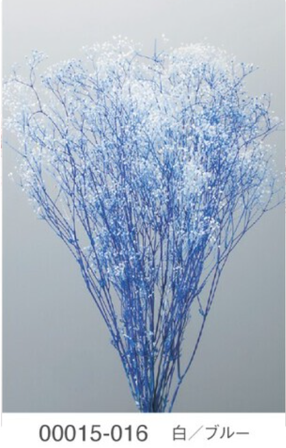 EarthMatters 00015-016滿天星永生花花材