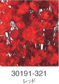 EarthMatters 30191-321星花永生花材